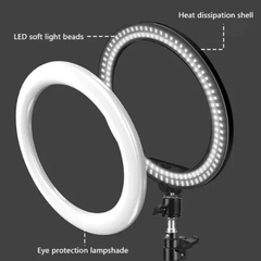 20cm Beauty Live Ring Light Photography