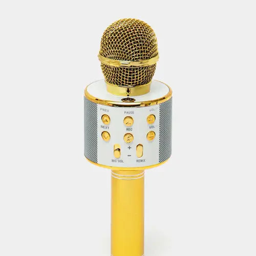 Mic Speaker Portable Bluetooth with Wireless Microphone Children's Speaker